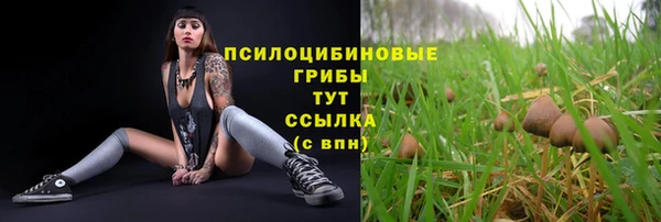 прущая мука Беломорск