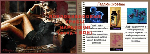 первитин Белокуриха