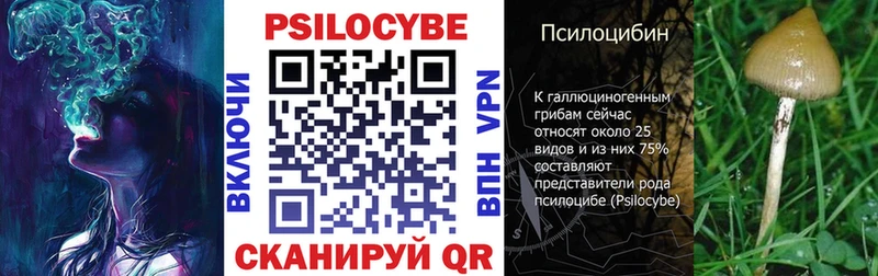 Псилоцибиновые грибы Psilocybine cubensis Клин